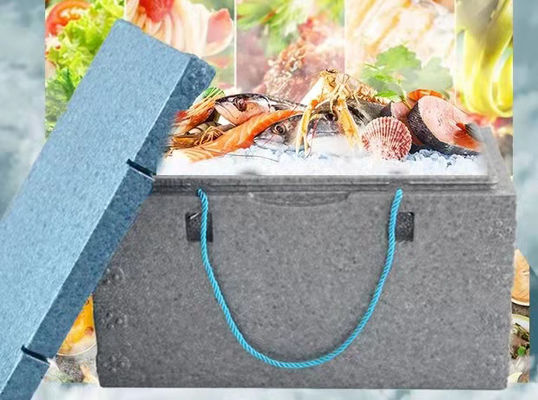 جعبه ماهی EPP EPS Mold 6063 آلیاژ آلومینیوم برای غذاهای دریایی و میوه های تازه